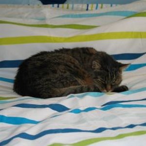 Hazel findet frische Bettwäsche zum 19ten Geburtstag