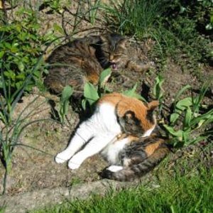 Päuschen vom 19ten Geburtstagstrubel ;-)