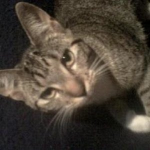 Mogli:
Ich bin ja soo fotogen :)