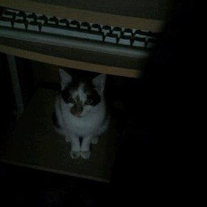 Amy: Muss das jetzt sein....