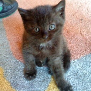 Da war die Bugsy noch ein Baby *g*