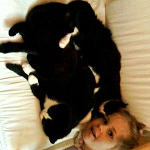 Alle drei Katzen mit meiner Nichte Emily