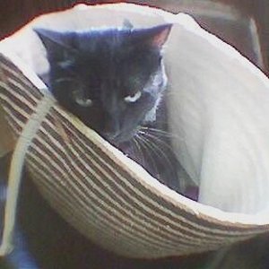 so begleitete sie mich  oft nach draußen, denn Freigang war nicht möglich