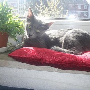 Meine kleine Bryana :-)