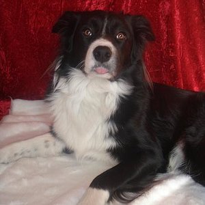 Das ist der große Bruder :-)