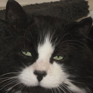 Das man mich auch immer wecken muss...