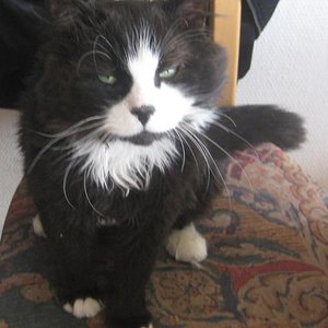 Das stehen wir mal zum fressen auf....