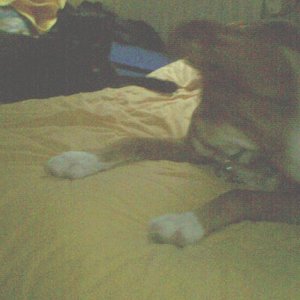 2011 kein Platz frei für die Dosis