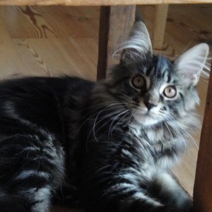 Ist da vielleicht eine Fliege?