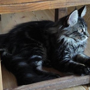 Nein...ist nicht so spannend...