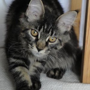 Da wackelt etwas, das muss ich mir anschauen!