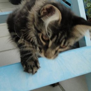 Oben drüber oder unten durch?