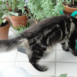 ...aus der Gießkanne schmeck's halt am besten!