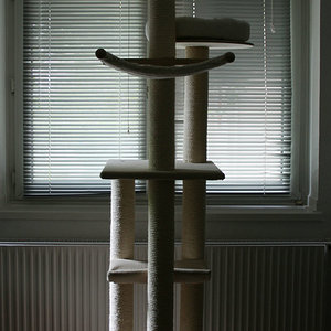 Petfun Eigenkreation (abgewandelte Kira)