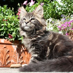 Fotoshooting in meiner alten Heimat