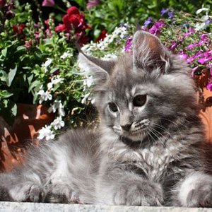 Fotoshooting in meiner alten Heimat