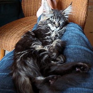 Hier isses gemütlich.