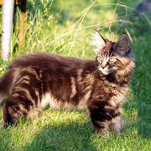 Ausflug in den Garten