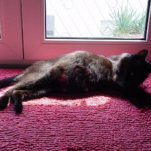 1 Tag vor der Geburt