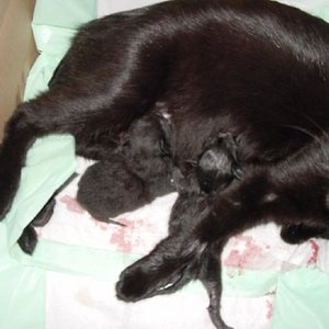 noch nicht einmal 1 Stunde alt