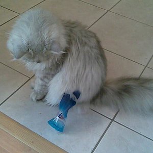 Was soll denn der Quatsch?