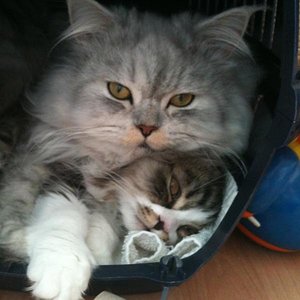 Platz ist in der kleinsten Hütte...