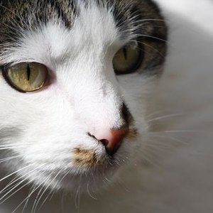 Lilli. Sie schafft es wirklich nie, ihren Kajal komplett ums Auge zu ziehen.