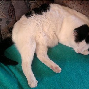 Olli

Bruder von Ladina