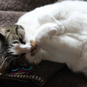 Rieke (mit Donnas Eule)