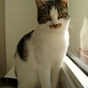 Mein Lieblingbild von Rieke. Da ist sie sieben Monate alt.