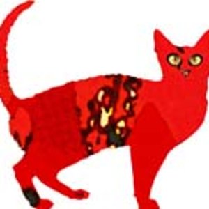 Spanische Katze. Siehe : http://cat-tshirts.blogspot.com/