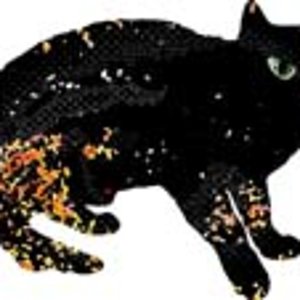 Schwarze Katze. Siehe: http://cat-tshirts.blogspot.com/