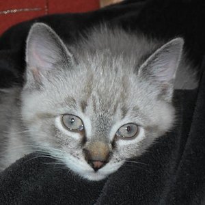 ein aufgewecktes Kerlchen, der den Namen Pascha jetzt bekommen hat.