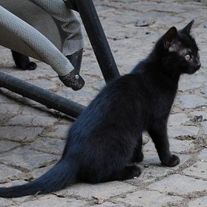 Und hier ist Nanni, sie ist die Mutige und die aktivere der Beiden.