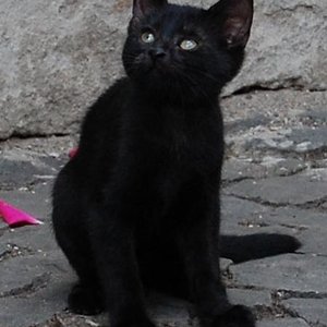 Das ist Nanni, unsere Dicke.