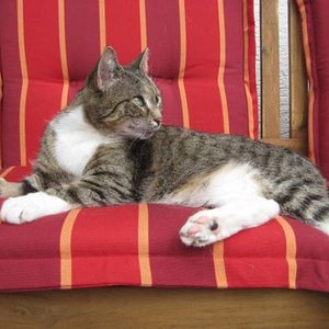 Krümel in besseren Tagen