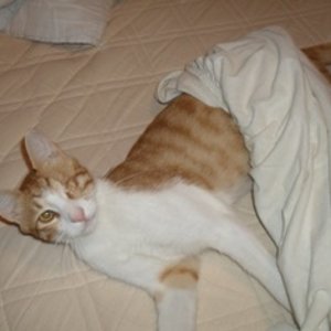 Ich helf der Mama beim Betten abziehen.