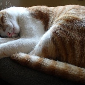 Ich bin soooooooo müde!