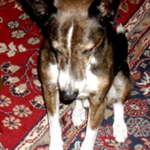 Das ist mein Freund Fernando. Fernando hasst es fotographiert zu werden!