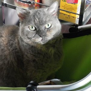 marzipanschnecke:-)))