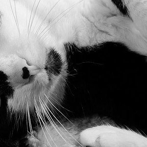 Salia. Einfach nur Salia.