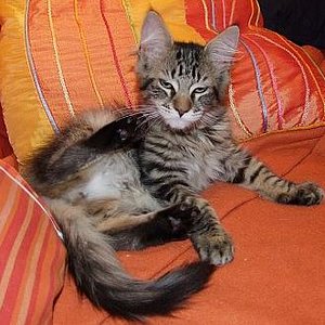 Und, steht mir Orange?