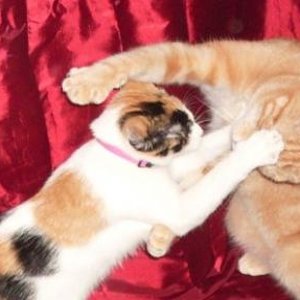 Lets get ready to rumble^^