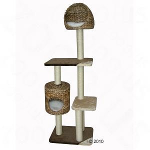 Der neue Kratzbaum Panglao