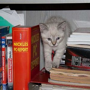 Naja, jedenfalls ist kein Hunderoman dabei !!!