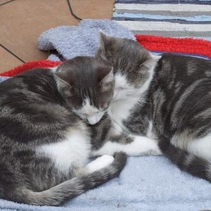 auf ihrem Bademantel