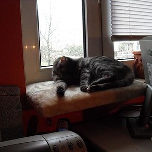 k Minka u. ihr neuer KB 061