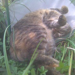 wo ist oben oder unten