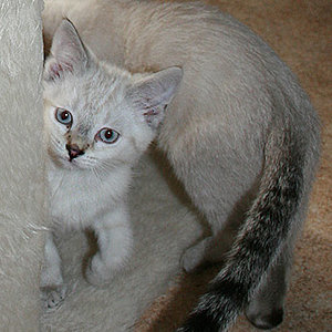 ...fotoknipst du immernoch???