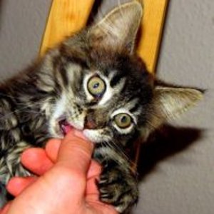 IMG 0862 222 09.02.2011 14 53 26